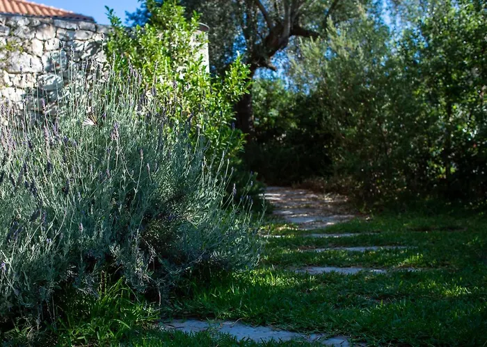 فيلة Arterravilla, A Hidden Sanctuary. *