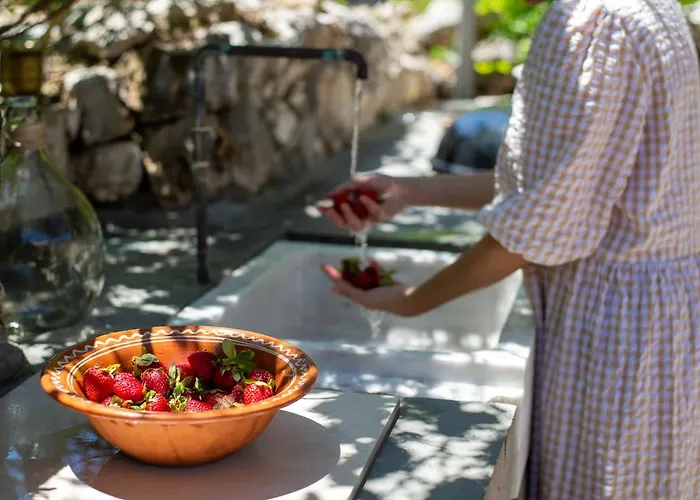 فيلة Arterravilla, A Hidden Sanctuary. *